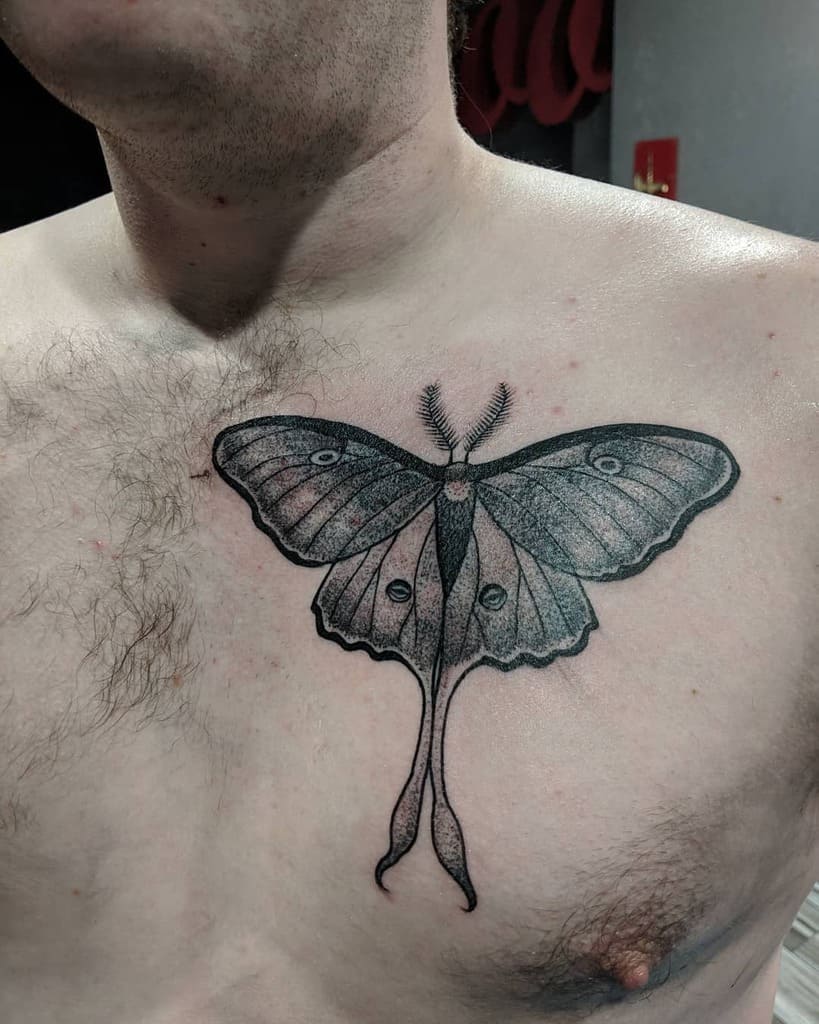 Chest Luna Moth Tattoo Nicoledgnilli