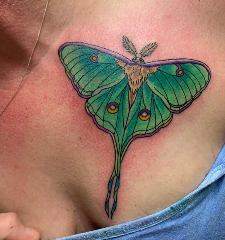 traditional lunar moth tattoo
