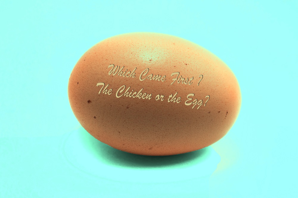chicken and egg question background concept