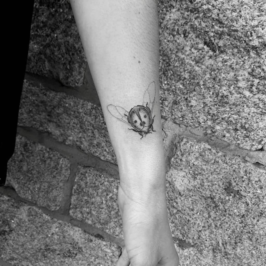 clack-ink-dotwork-realistic-ladybug-tattoo-alixlajoie.tattoo