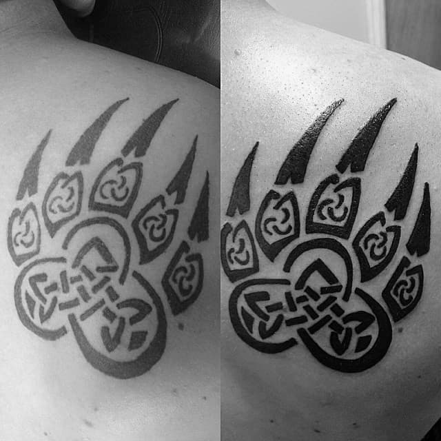 Cletic Black Ink Bear Claw Tattoo On Mans Shoulder Blade