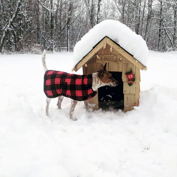 wood pallet dog house