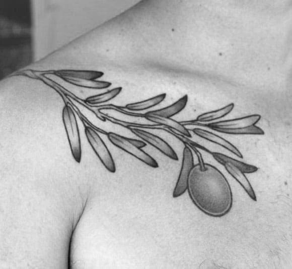 Collarbone Olive Branch Tattoo On Gentleman
