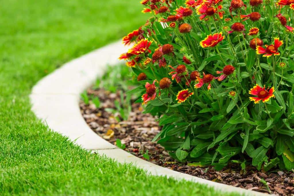 circular concrete render garden edging red flowers 