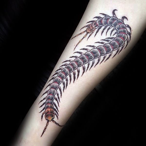 Centipede Tattoo Complete guide and 12 tattoo designs