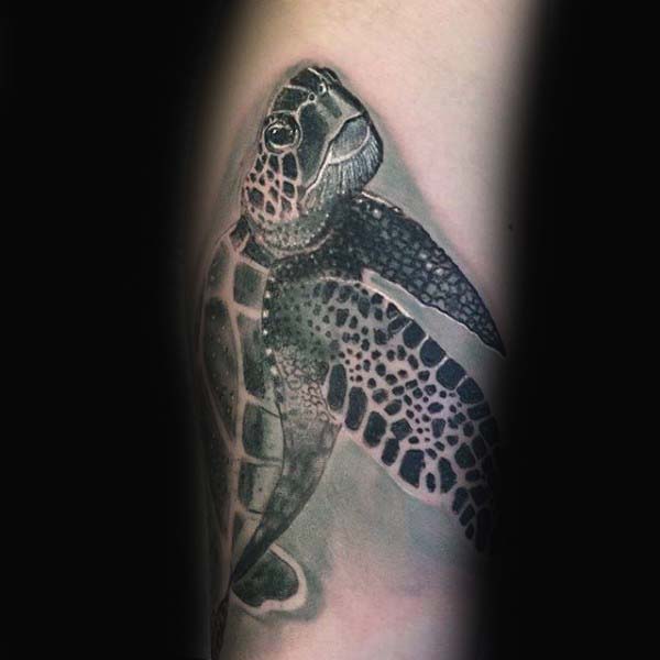 Cool Grey Shaded Ink Turtle Tattoo For Guys On Forearm