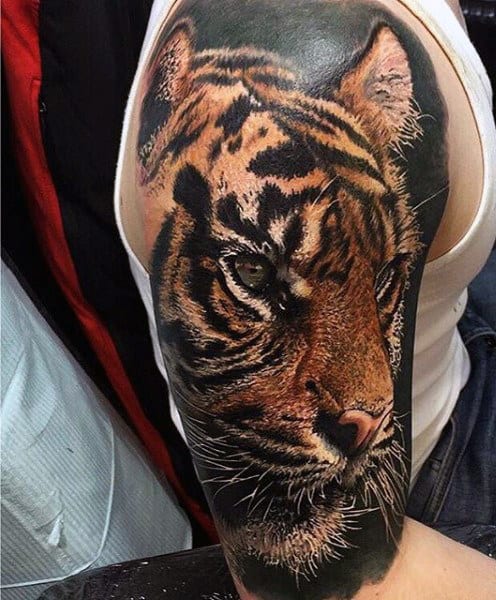 Cool Half Sleeve Tiger Tattoos For Males