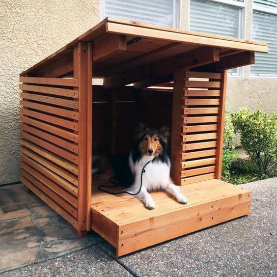 homemade dog house