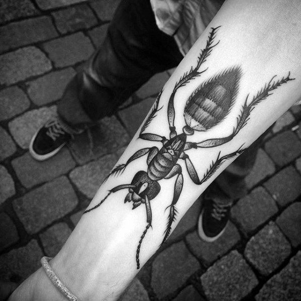 Cool Male Ant Inner Forearm Old School Traditional Tattoo Designs