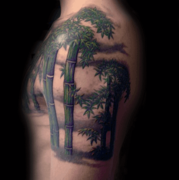 50 Bamboo Tattoo Designs For Men  Lush Greenery Ink Ideas Video  Bamboo  tattoo Tattoo designs men Tattoo designs