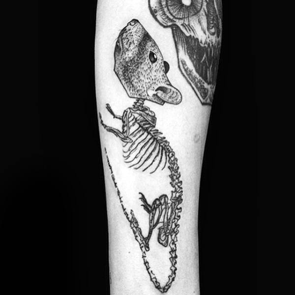 Tattoo uploaded by Sara MacGregor  Death of Rats from Discworld my own  line design  Tattoodo