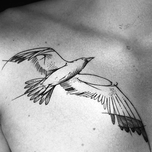 40 Seagull Tattoo Designs For Men - Seabird Ink Ideas