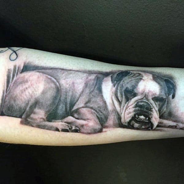 Cool Sleeping French Bulldog Tattoo On Mans Forearm
