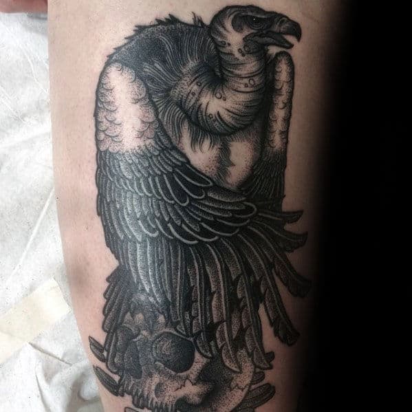 Little Lisa Tattoos and Artwork  Have you ever heard of a bearded vulture  I hadnt until I got to tattoo one on my pal Dayna They are intense  Thanks lady 6509tattoo 