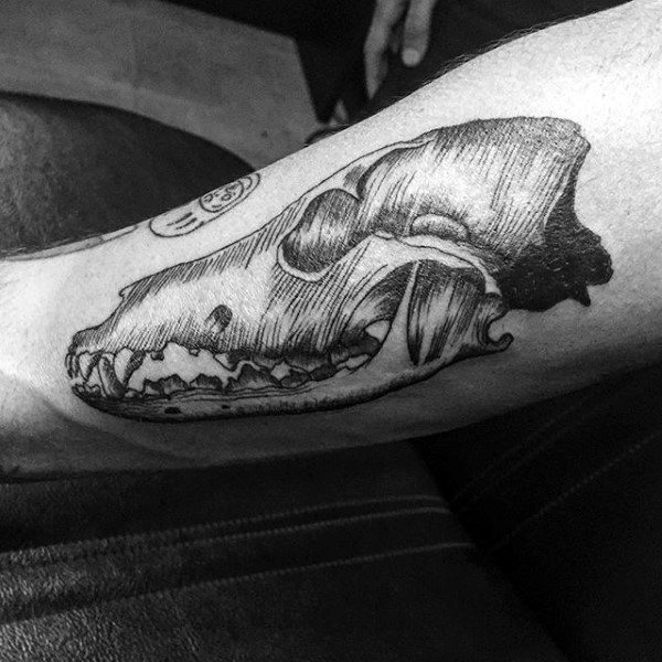 Cool Wolf Skull Male Forearm Tattoo Inspiration