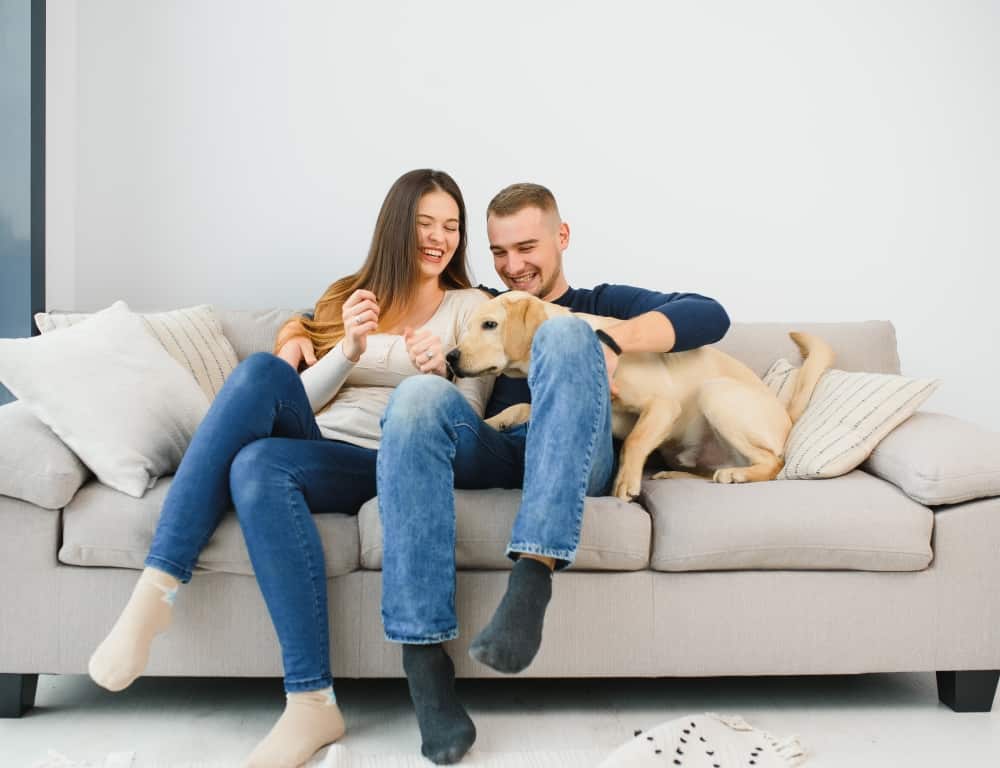 couple laughing together while dog sitting on bed at home