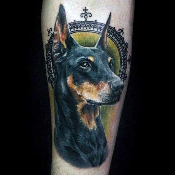 The Tattoo Shop  Super realistic dog tattoo by karolrybakowski  tattooshop thetattooshop tattooshopsupplies thetattooshopsupplies  besttattoos realistic realistictattoo chesttattoo fronttattoo  colourtattoo colortattoo portraittattoo dog 