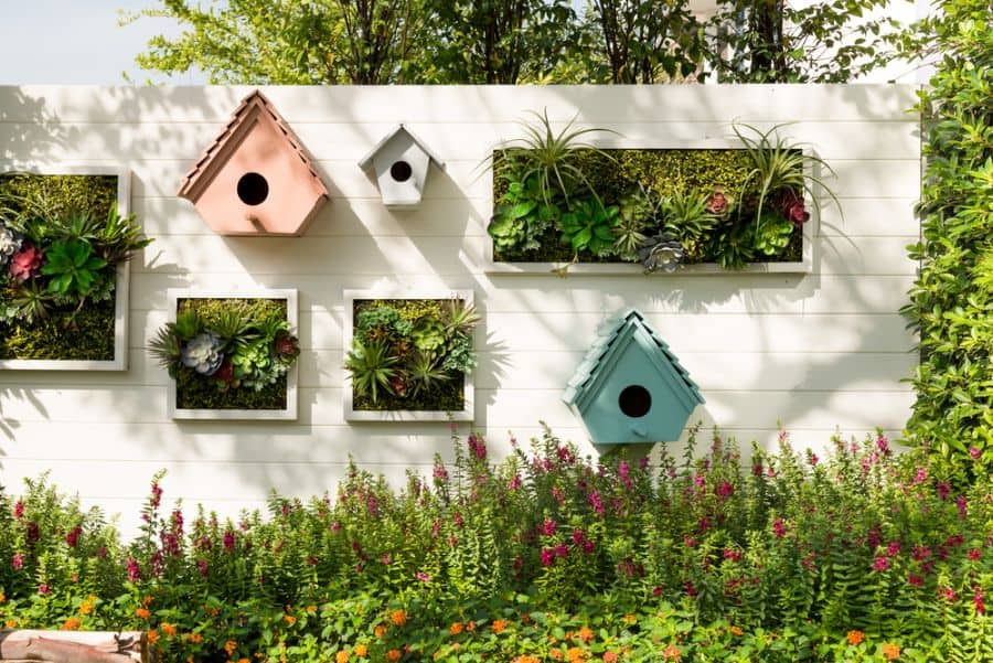creative vertical garden with bird houses