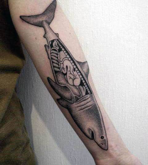 Cut Open Shark Tattoo Design Ideas For Guys