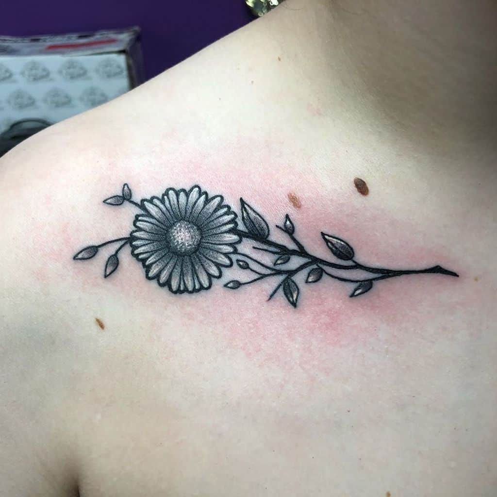 Collar bone tattoo traditional black and grey and white daisy with stem and leaves