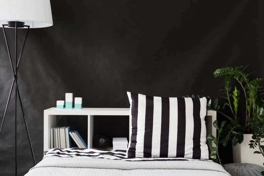 simple black and white bedroom plants