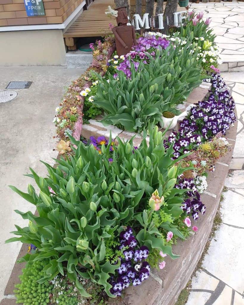 small backyard flower bed