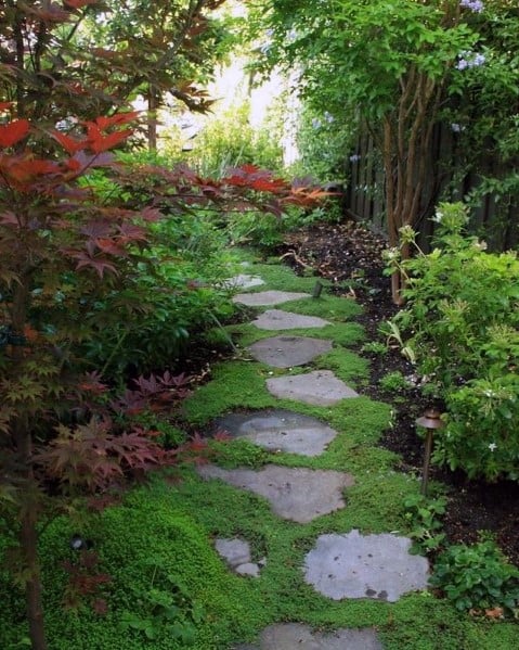 Designs Stone Walkway With Grass Backyard