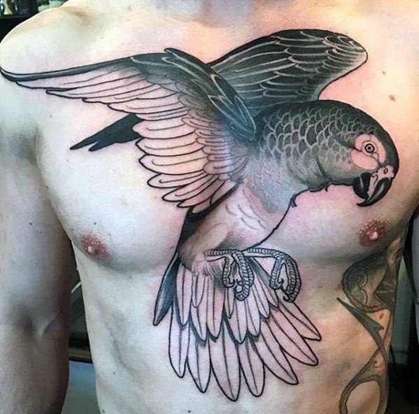 Detailed Chest Mens Parrot Tattoo Design Inspiration