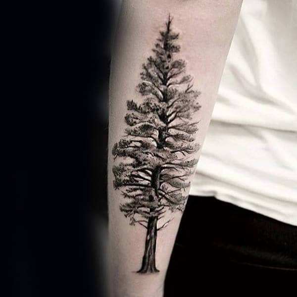 Detailed Forearm Tree Covered In Snow Mens Tattoo