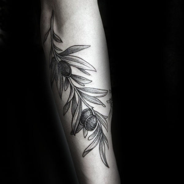 Detailed Olive Branch Woodcut Mens Forearm Tattoo