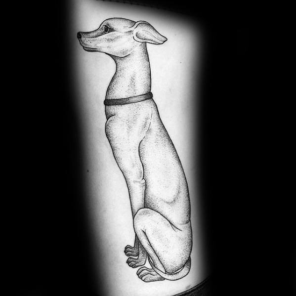 Distinctive Male Greyhound Tattoo Designs