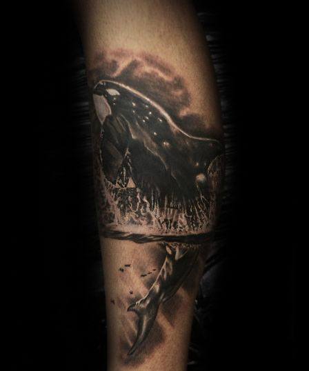 Distinctive Male Orca Tattoo Designs On Forearm