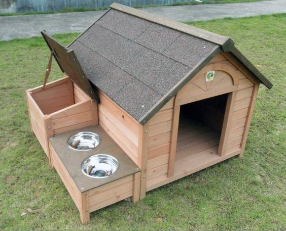 Dog House Design