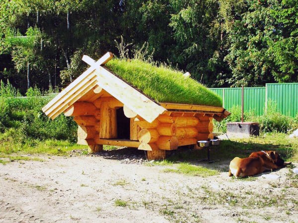 log dog house cabin