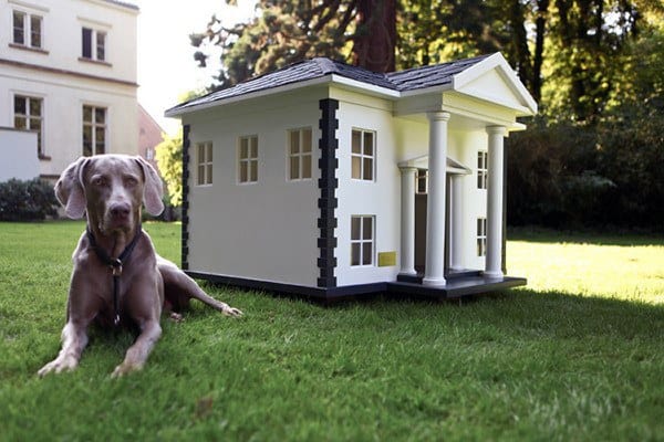 traditional realistic dog house