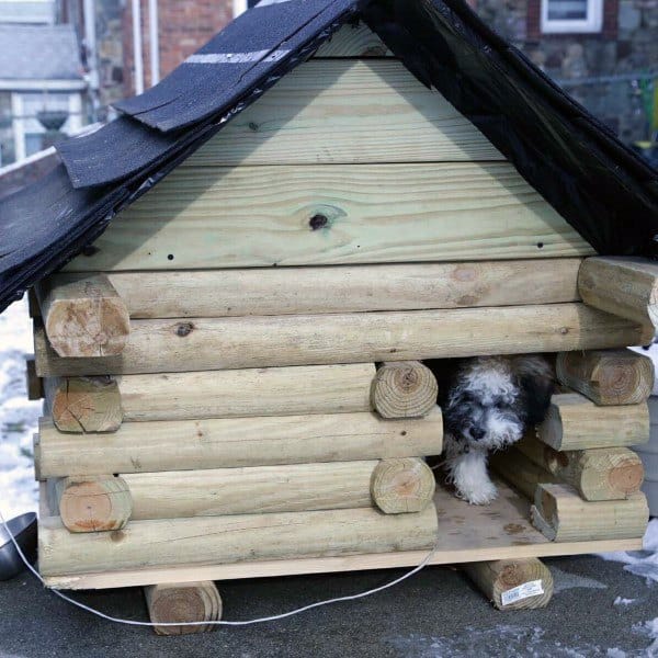 log dog house cabin