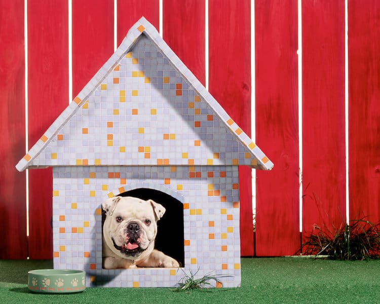 106 Best Dog House Ideas