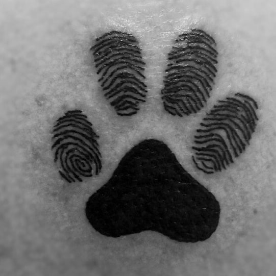 Dog Paw Print Male Fingerprint Tattoos