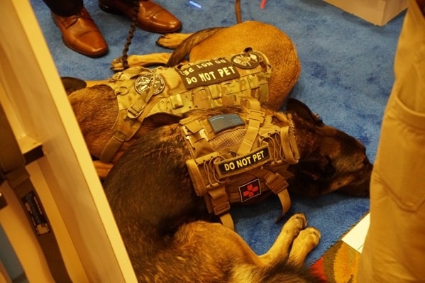 Dogs Of Shot Show