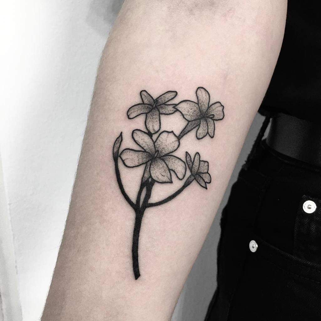 Dotwork Jasmine Flower Tattoos Monika Frks