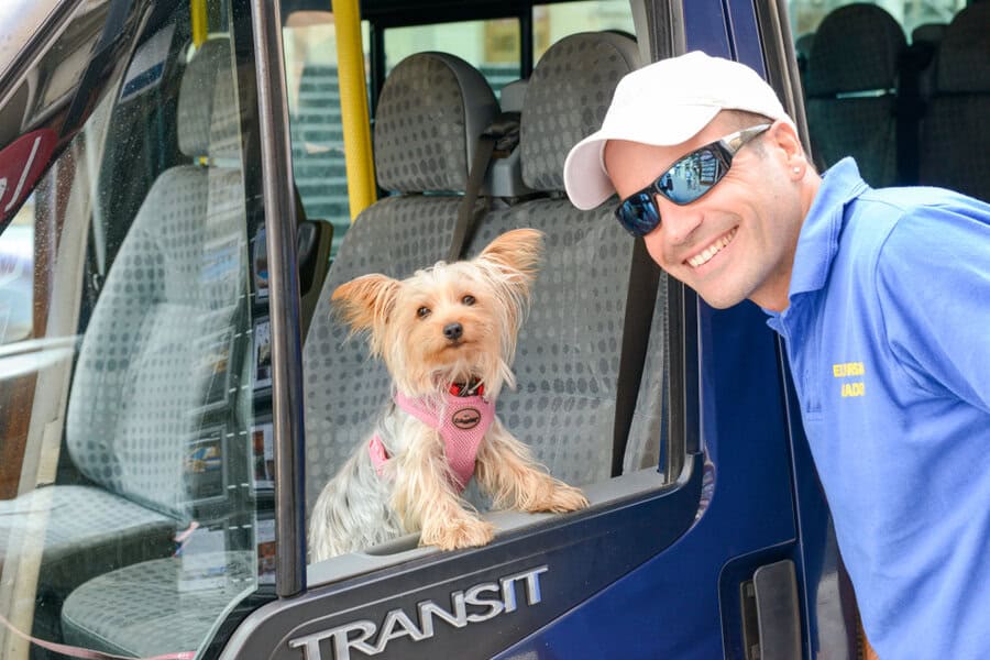 Is a Luxury Dog Car Seat Worth It? What Actually Separates Them