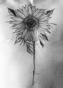 large black and grey tattoo on man's chest of a surrealistic sunflower with geometric lines and stem