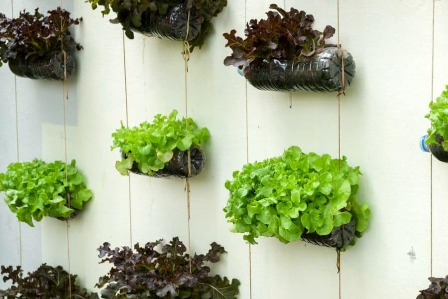 easy vertical garden