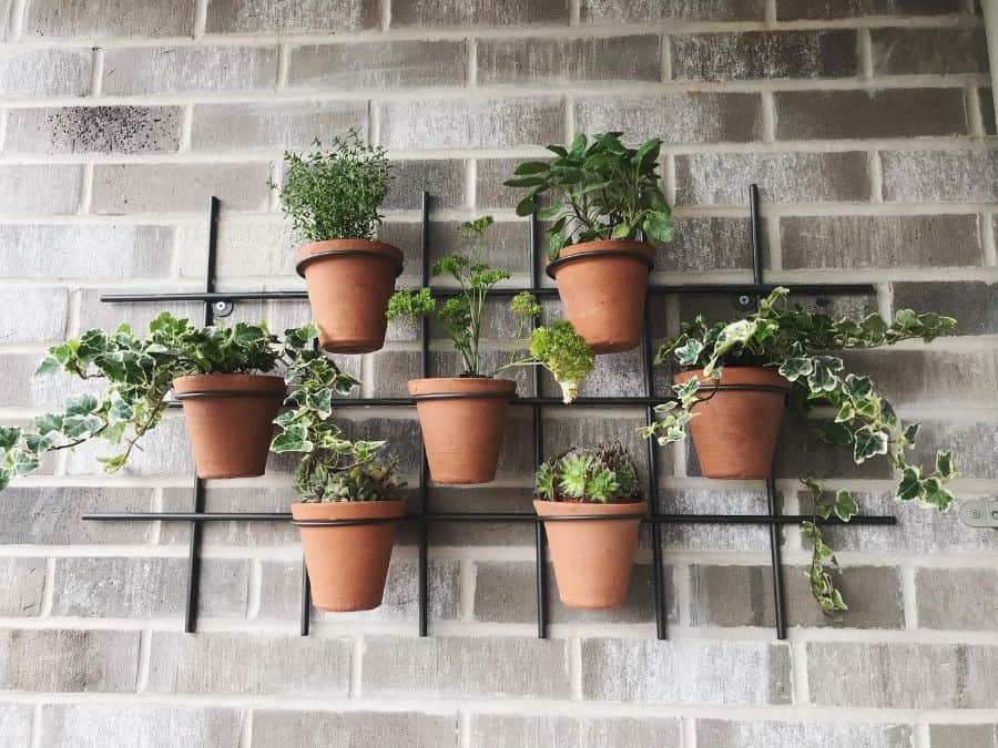 terra cotta pot plants vertical wall garden