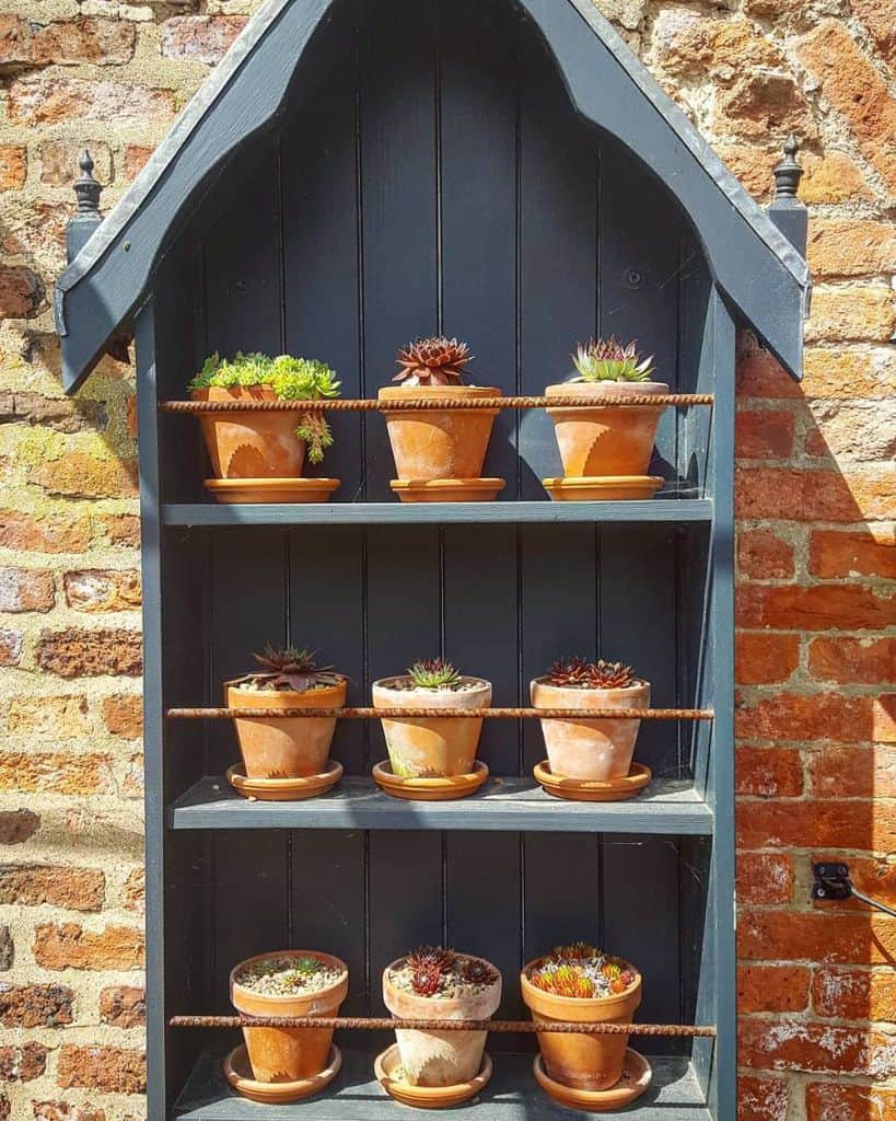 gray wall wood shelf with terra cotta pot plants 