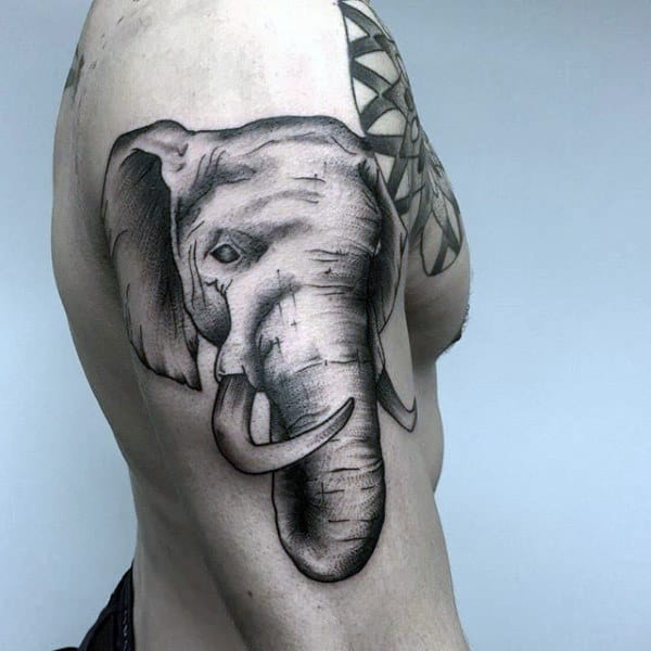 Elephant With Curved Tusk Tattoo Male Forearms