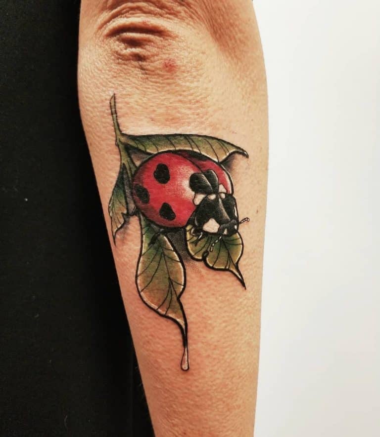 31 Brilliant Ladybug Tattoo Ideas