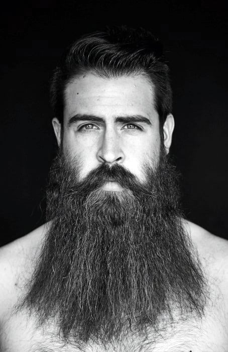 Fashionable Male Beard Big Styles