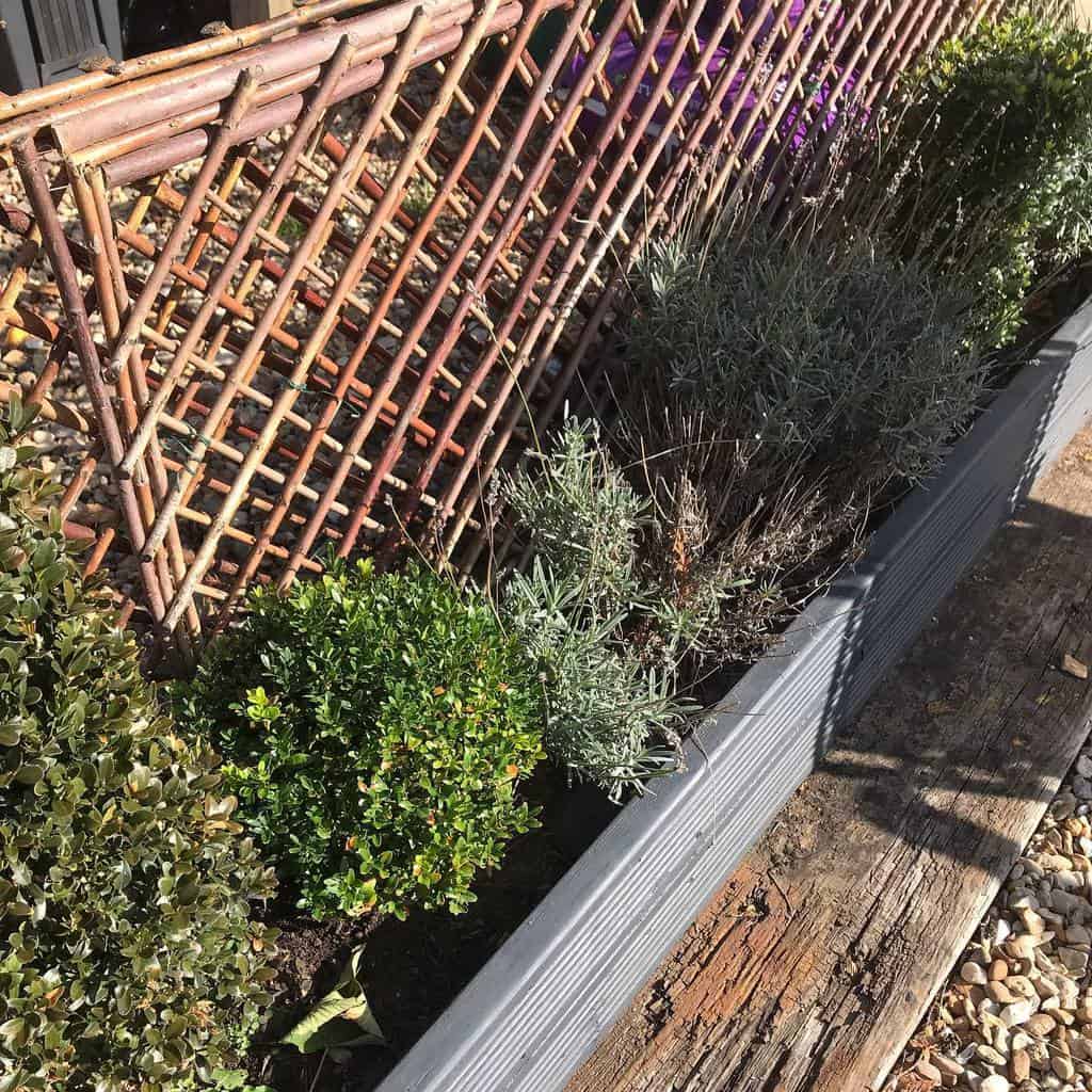 wood lattice fence with gray garden trellis 