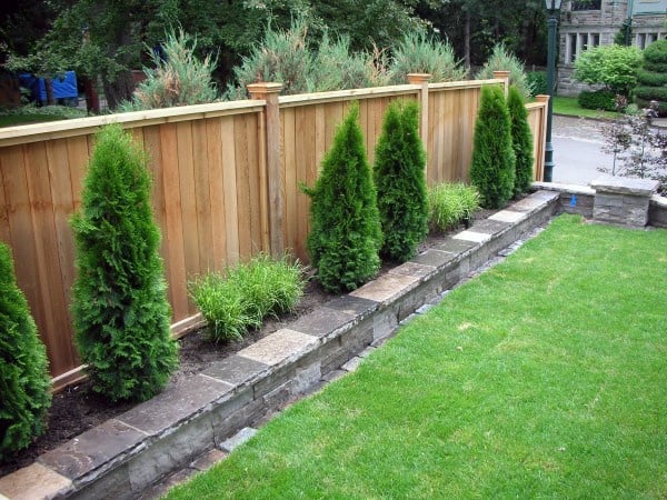 backyard fence with plant bed